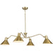 Progress Lighting Trimble Collection Four-Light Chandelier Brushed Bronze (P400310-109)