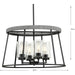 Progress Lighting Laramie Collection Four-Light Chandelier Matte Black (P400322-31M)