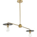 Progress Lighting Trimble Collection Two-Light Linear Chandelier Brushed Bronze (P400336-109)