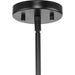 Progress Lighting Arya Collection 12-Light Chandelier Matte Black (P400339-31M)