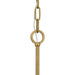 Progress Lighting Loretta Collection Nine-Light Chandelier Gold Ombre (P400365-204)