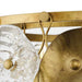 Progress Lighting Loretta Collection Nine-Light Chandelier Gold Ombre (P400365-204)