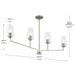 Progress Lighting 94400441009 Celino Collection 4-Light Linear Chandelier Brushed Nickel With Clear Glass Shades (P400441-009)