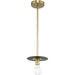 Progress Lighting Trimble Collection One-Light Mini-Pendant Brushed Bronze (P500392-109)