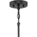 Progress Lighting Silva Collection One-Light Pendant Matte Black (P500398-31M)