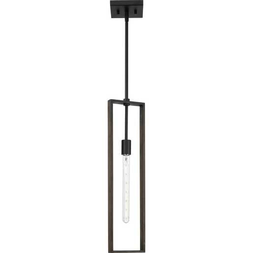 Progress Lighting Boundary Collection One-Light Pendant Matte Black (P500444-31M)