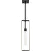 Progress Lighting Boundary Collection One-Light Pendant Matte Black (P500444-31M)