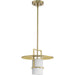 Progress Lighting Mystic Collection One-Light Pendant Brushed Bronze (P500446-109)