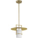 Progress Lighting Mystic Collection One-Light Pendant Brushed Bronze (P500446-109)