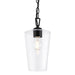 Progress Lighting 94500506031 Celino Collection 1-Light Mini-Pendant Black With Clear Glass Shade (P500506-031)