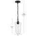 Progress Lighting 94500506031 Celino Collection 1-Light Mini-Pendant Black With Clear Glass Shade (P500506-031)