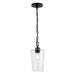 Progress Lighting 94500506031 Celino Collection 1-Light Mini-Pendant Black With Clear Glass Shade (P500506-031)