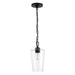 Progress Lighting 94500506031 Celino Collection 1-Light Mini-Pendant Black With Clear Glass Shade (P500506-031)