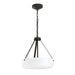 Progress Lighting 94500507020 Lieon Collection 3-Light Semi-Flush Convertible Light Antique Bronze With White Glass Shade (P500507-020)