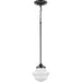 Progress Lighting School House Collection One-Light Pendant Matte Black (P5196-31M)