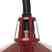 Progress Lighting Cedar Springs Collection One-Light Post Lantern Outdoor Fixture Red (P540103-039)