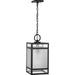 Progress Lighting Parrish Collection One-Light Hanging Lantern Outdoor Fixture Matte Black (P550135-31M)