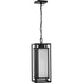 Progress Lighting Unison Collection One-Light Hanging Lantern Outdoor Fixture Matte Black (P550141-31M)