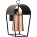 Progress Lighting Hutchence Collection One-Light Wall Lantern Outdoor Fixture Antique Bronze (P560336-020)