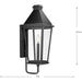 Progress Lighting Richmond Hill Collection One-Light Wall Lantern Outdoor Fixture Black (P560345-031)