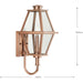 Progress Lighting Bradshaw Collection One-Light Wall Lantern Outdoor Fixture Antique Copper (Painted) (P560347-169)