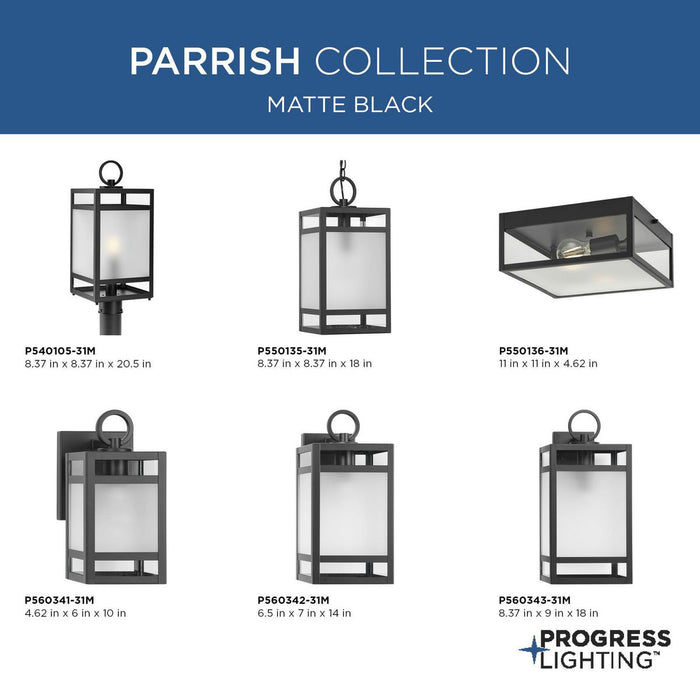 Progress Lighting Parrish Collection Two-Light Flush Mount Outdoor Fixture Matte Black (P550136-31M)