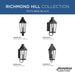 Progress Lighting Richmond Hill Collection One-Light Wall Lantern Outdoor Fixture Black (P560346-031)