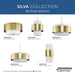 Progress Lighting Silva Collection One-Light Pendant Brushed Bronze (P500398-109)