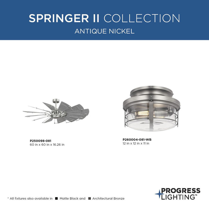 Progress Lighting Springer II Collection 12 Inch Ceiling Fan Light Kit Antique Nickel (P260004-081-WB)