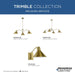 Progress Lighting Trimble Collection Four-Light Chandelier Brushed Bronze (P400310-109)