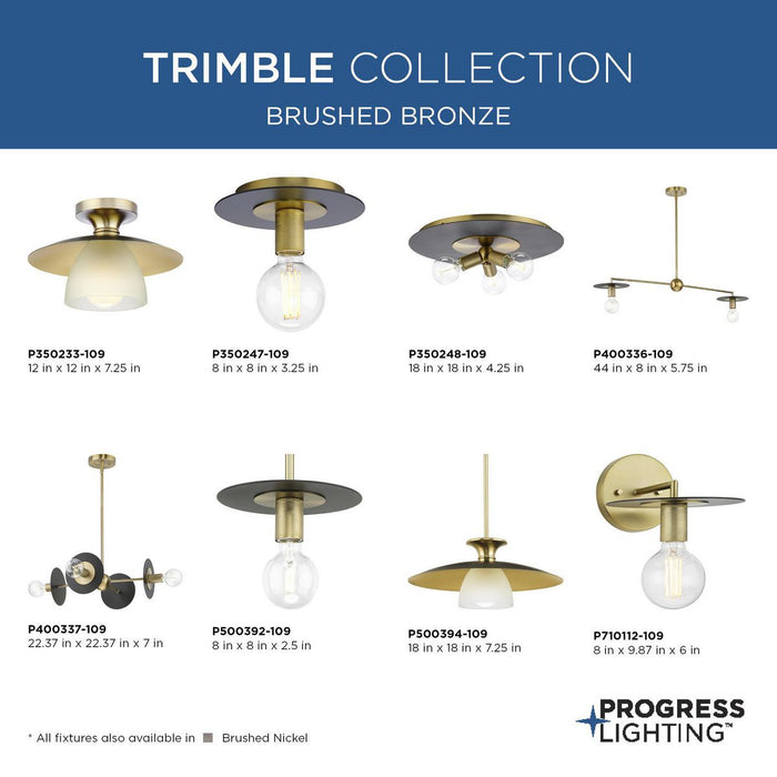 Progress Lighting Trimble Collection Three-Light Flush Mount Close-To-Ceiling Fixture Brushed Bronze (P350248-109)