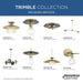 Progress Lighting Trimble Collection One-Light Mini-Pendant Brushed Bronze (P500392-109)