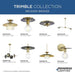 Progress Lighting Trimble Collection One-Light Pendant Brushed Bronze (P500394-109)