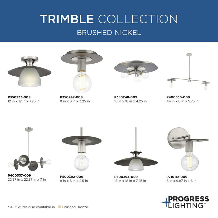 Progress Lighting Trimble Collection Three-Light Flush Mount Close-To-Ceiling Fixture Brushed Nickel (P350248-009)