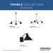 Progress Lighting Trimble Collection Three-Light Chandelier Matte Black (P400309-31M)