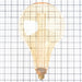 Feit Electric 3.5W Warm Light 2100K E26 Base PS50 Big Bulb Acrylic Filament LED Bulb (PS50/AYC/820/HDRP)