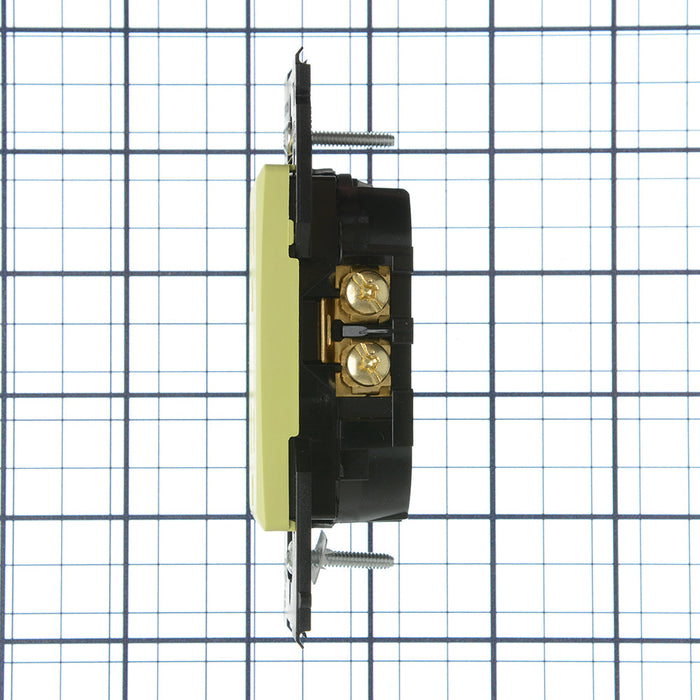 Leviton Renu 15A 125V Tamper-Resistant Receptacle Granny Smith Apple (RER15-GS)