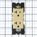 Leviton Renu Tamper-Resistant Duplex Receptacle/Outlet 20 Amp 125V NEMA 5-2R Side And Back Wired Corn Silk (RER20-CS)