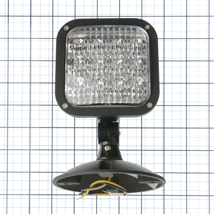 Standard-BL LED Outdoor Die-Cast Remote Head Single Head Black (RHLED1-WP-MVB)