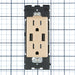 Leviton Combination Duplex Receptacle/Outlet And USB Charger 15A 125V Renu Tamper-Resistant Receptacle/Outlet NEMA 5-15R Dapper Tan (RUAA1-DT)