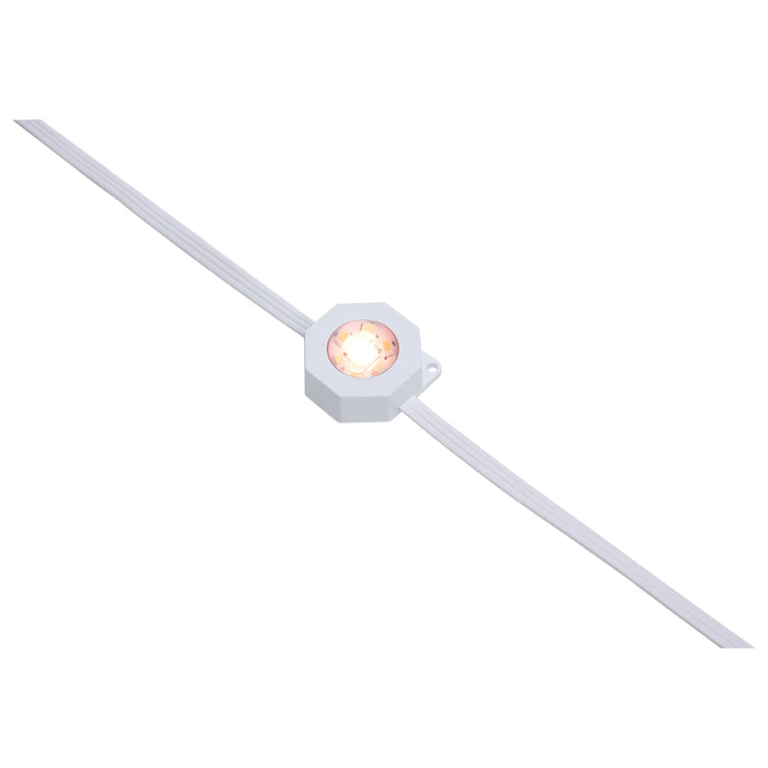 SATCO/NUVO Starfish Smart LED Eave Light Kit 100 Foot 48W 120V RGBTW With Light Strands-Driver-Controller/Receiver-IR Remote-Mounting Accessories (S11298)