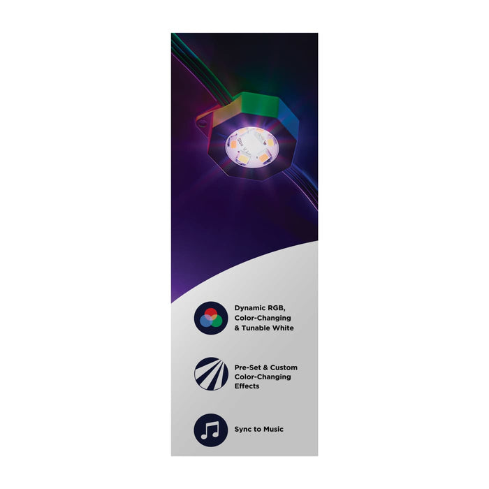 SATCO/NUVO Starfish Smart LED Eave Light Kit 100 Foot 48W 120V RGBTW With Light Strands-Driver-Controller/Receiver-IR Remote-Mounting Accessories (S11298)