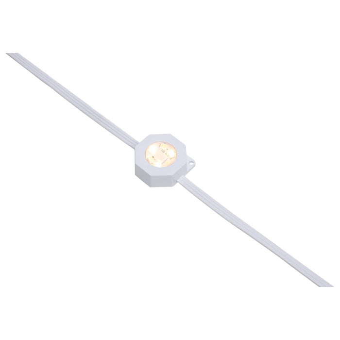 SATCO/NUVO Starfish 25 Foot 18-Lamp LED Eave Light Extension (S11299)