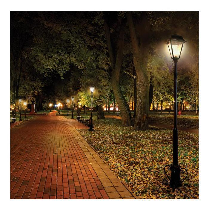 SATCO/NUVO 60/45/36W LED HID Replacement Wattage/CCT Selectable 60W/45W/36W 3000K/4000K/5000K Ballast Bypass Extended Mogul Base 120-277V (S13149)