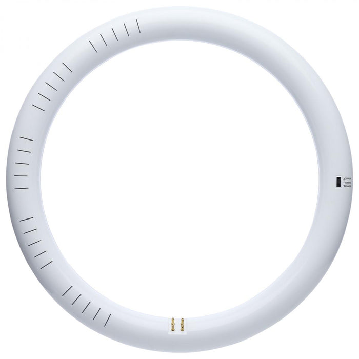 SATCO/NUVO LED Circline 16W T9 CCT Selectable 3000K/4000K/6500K G10Q Base 120-277V (S16511)