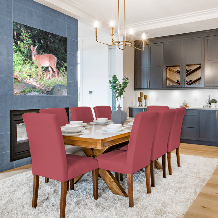 SATCO/NUVO 5.5W B11 LED Clear Medium Base 90 CRI 4000K 120V (S21291)