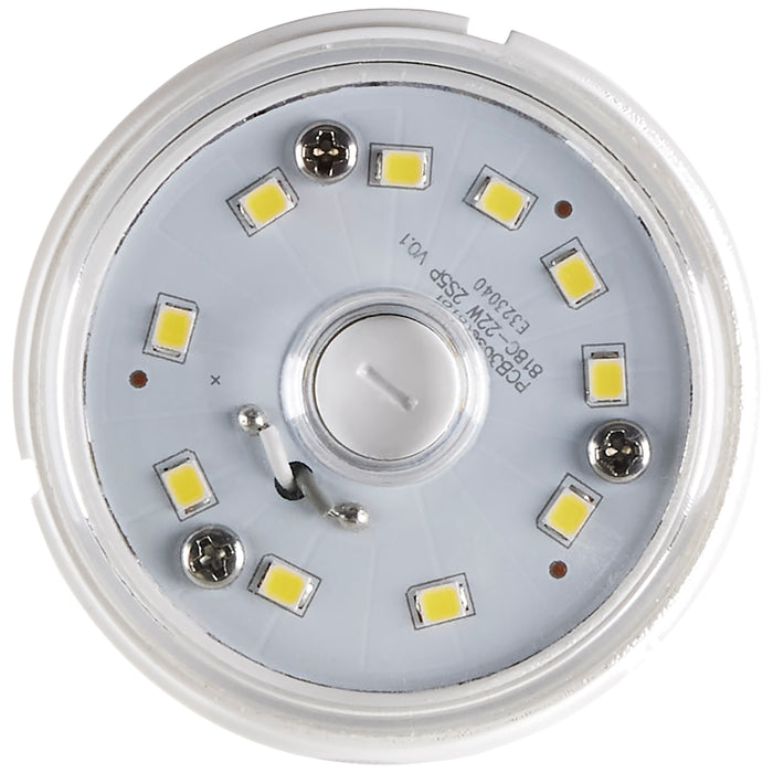 SATCO/NUVO 22W LED HID Replacement 80 CRI 2700K Medium Base Economy Hi-Pro (S49671)