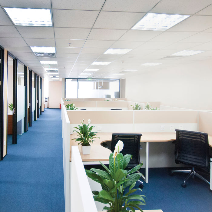 SATCO/NUVO 10W 3 Foot LED T8 Medium Bi-Pin Base 3000K 50000 Hours 1450Lm Type A Ballast Dependent (S49990)