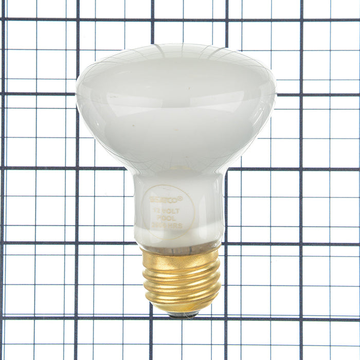 SATCO/NUVO 100R20FL/POOL 100W R20 Incandescent Frost 2000 Hours 1000Lm Medium Base 12V 2700K (S7002)