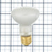 SATCO/NUVO 100R20FL/POOL 100W R20 Incandescent Frost 2000 Hours 1000Lm Medium Base 12V 2700K (S7002)